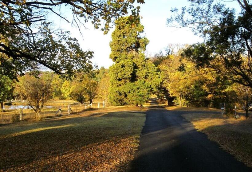 هتل Moore Park Inn