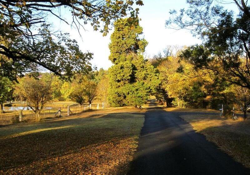 هتل Moore Park Inn