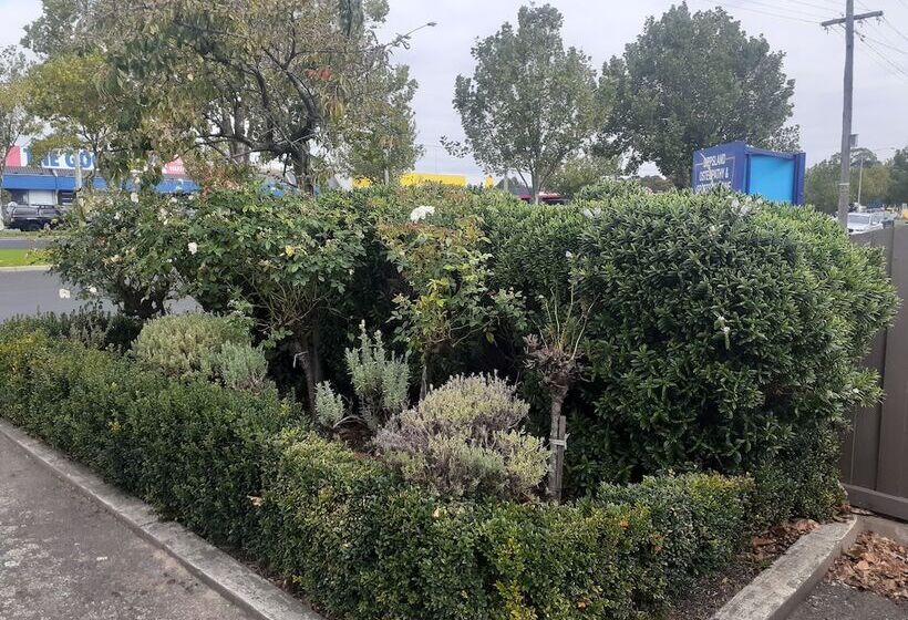 City Gardens Motel