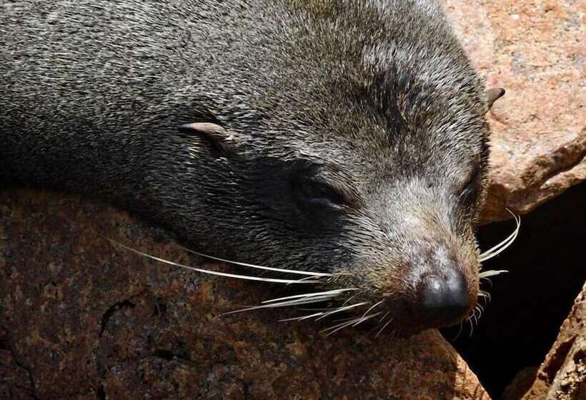 Cunningham Shore Motel