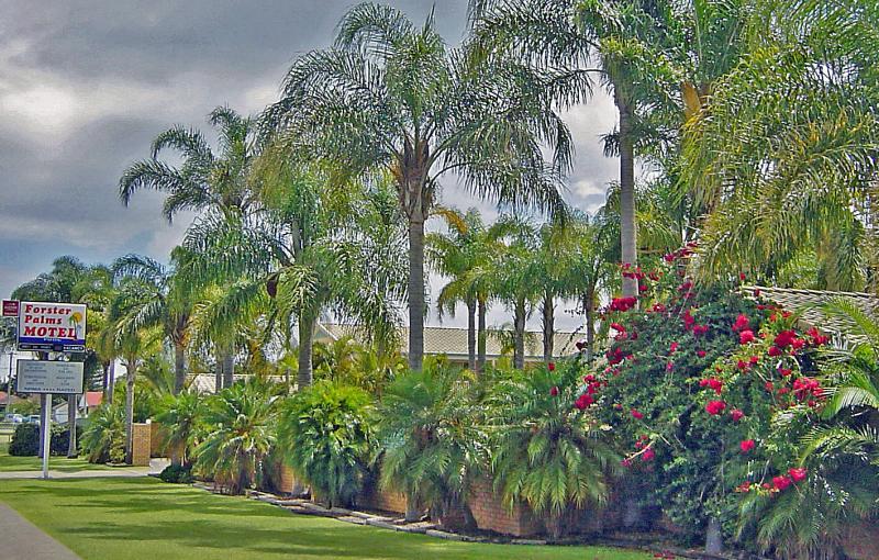 Forster Palms Motel