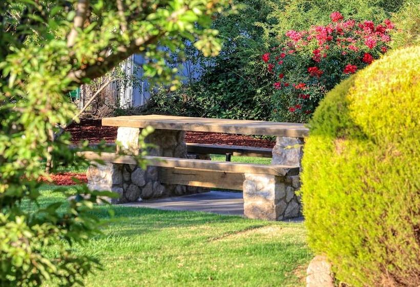 Glider City Motel Benalla