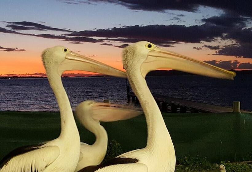 ホテル Admiral Nelson Motor Inn