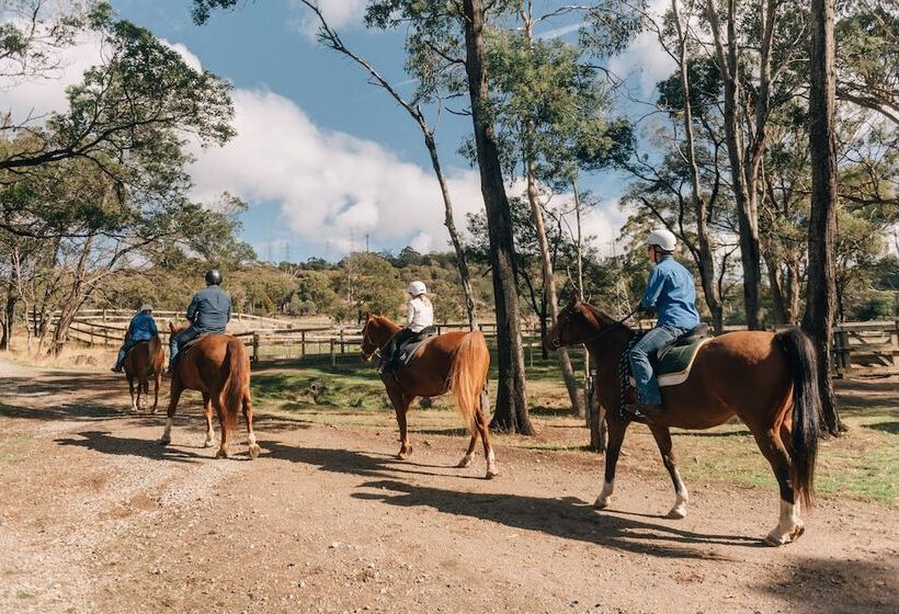 בית מלון כפרי Country Club Tasmania