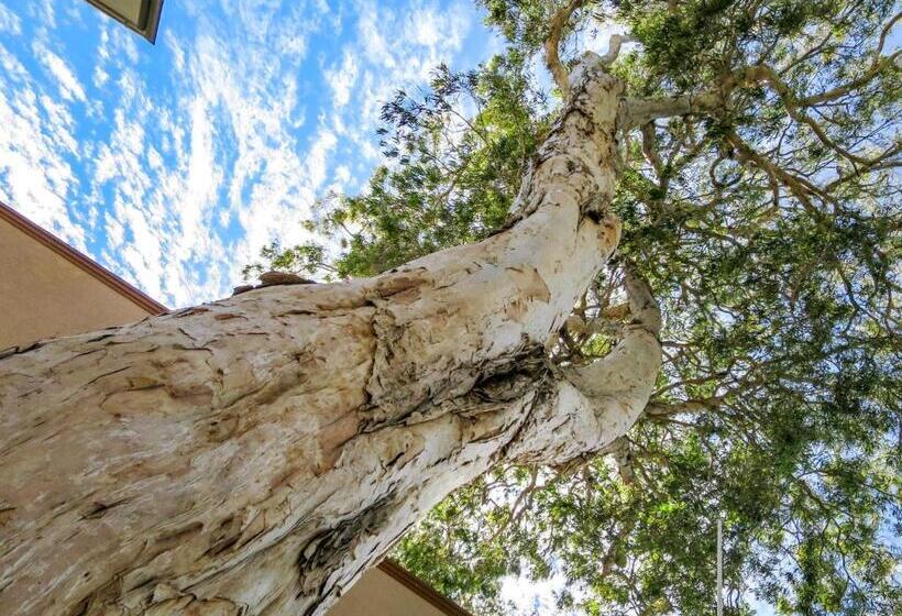 בית מלון כפרי Marlin Waters Beachfront Apartments