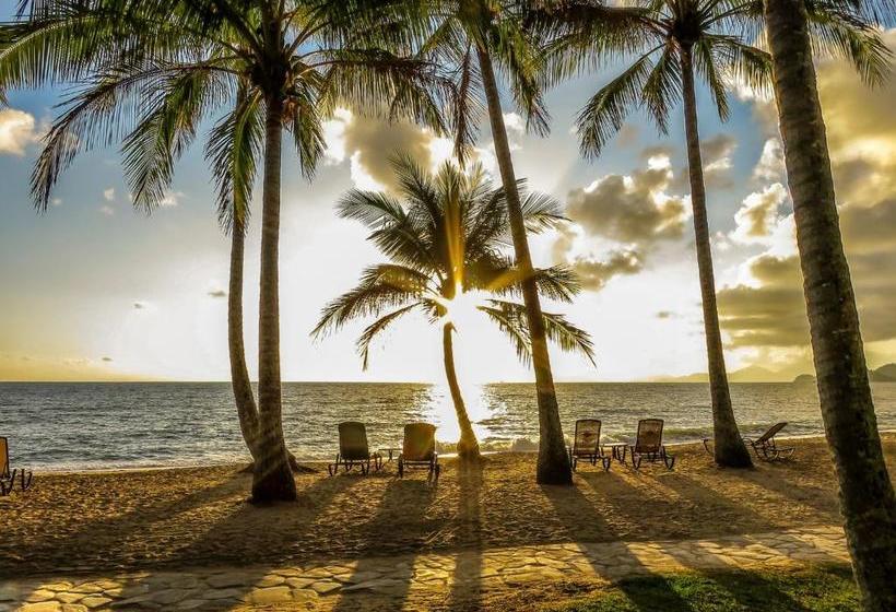 בית מלון כפרי Marlin Waters Beachfront Apartments