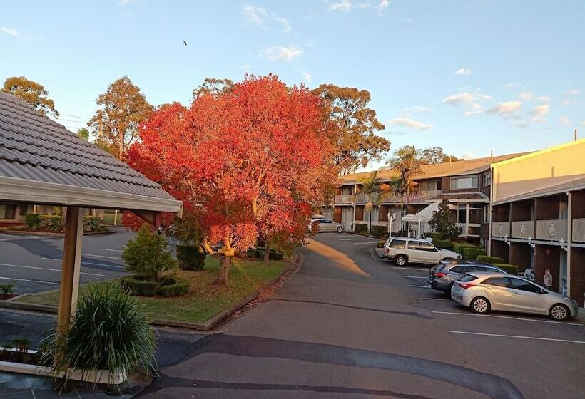 Отель Molly Morgan Motor Inn