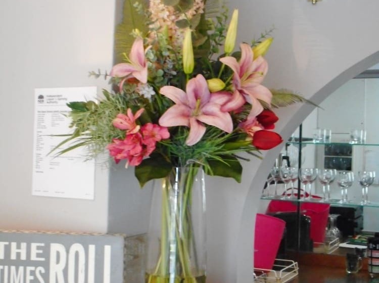 Отель Molly Morgan Motor Inn