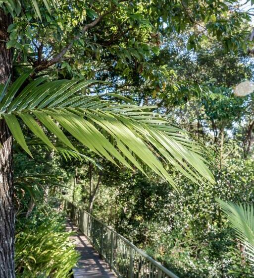 Отель Noosa Crest Resort