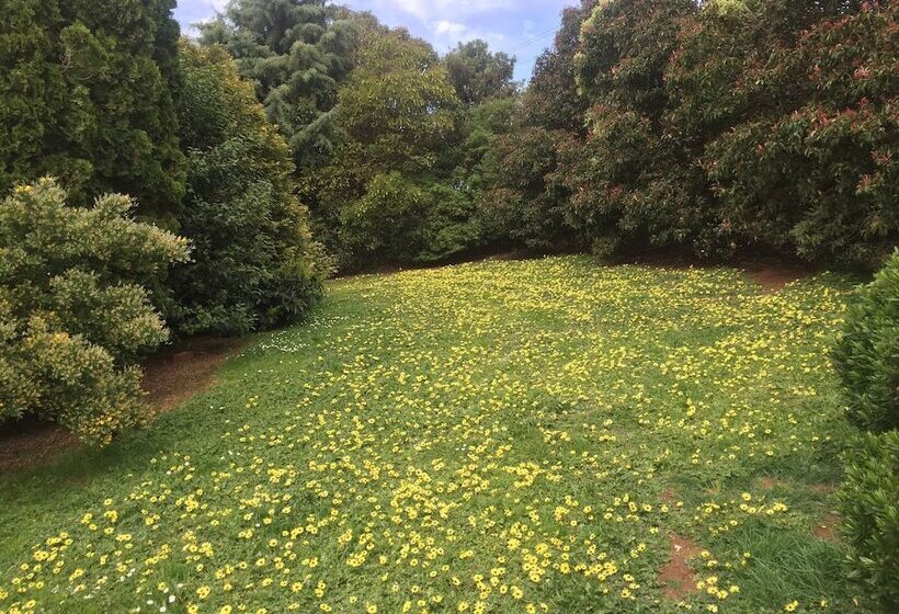 Отель Warragul Views Motor Inn