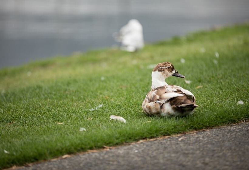 ホテル Wrest Point