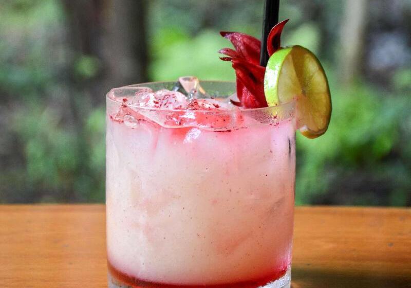 Kingfisher Bay Resort