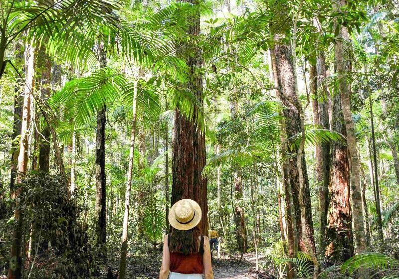 Kingfisher Bay Resort