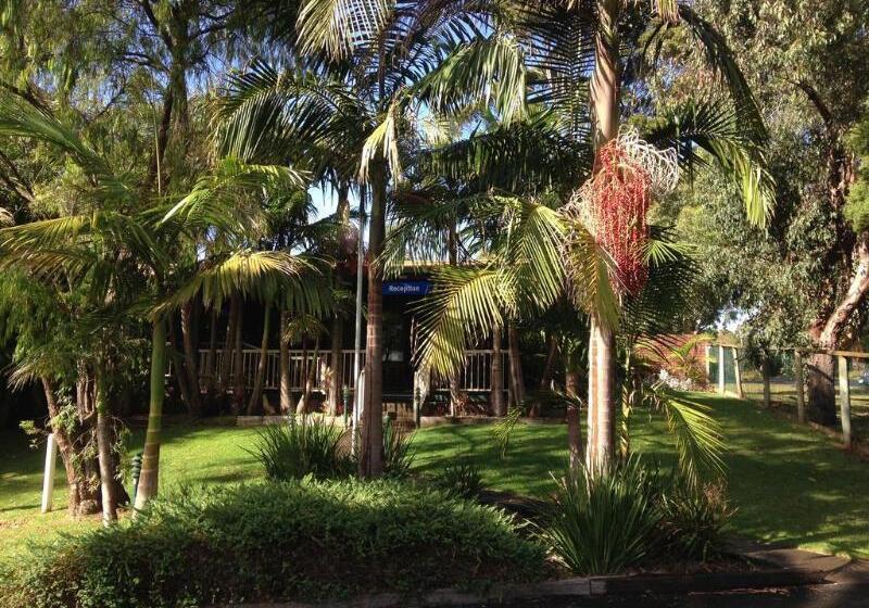 汽车旅馆  Kaloha Holiday Resort Phillip Island