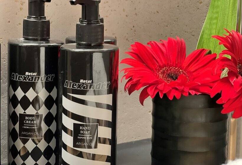 Отель Alexander