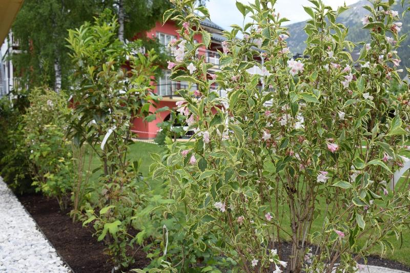 Das Hotel Eden   Das Aktiv  & Wohlfühlhotel In Tirol Auf 1200m Höhe