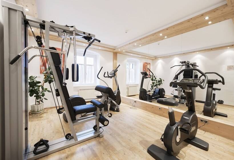 호텔 Goldener Löwe