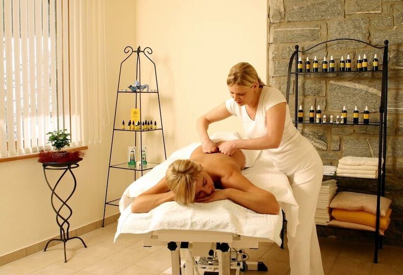 فندق Kärntnerhof