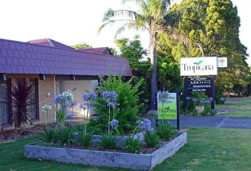 호텔 Tropicana Motor Inn