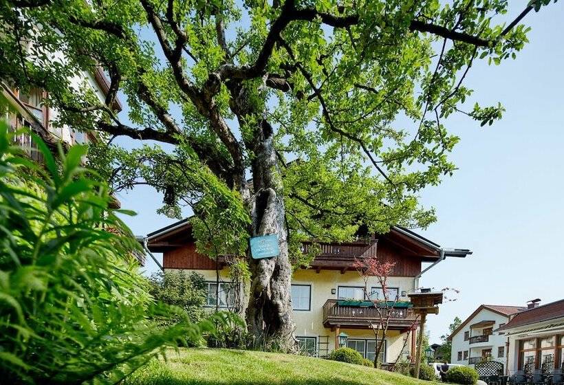 Romantikhotel Zell Am See