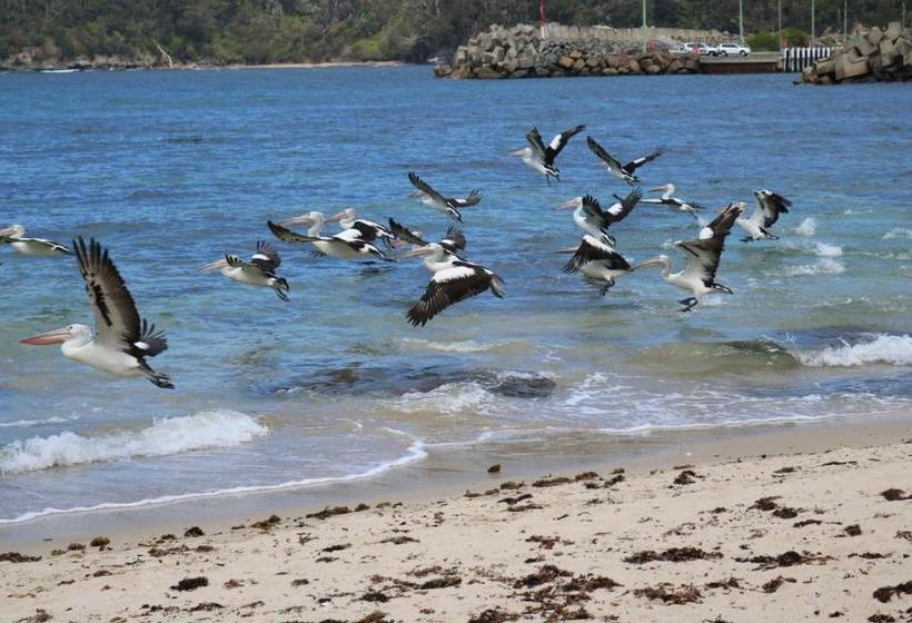 Sandpiper Motel Ulladulla