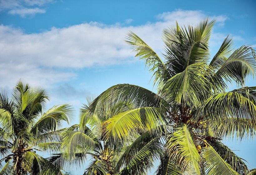 Abaco Beach Resort And Boat Harbour Marina