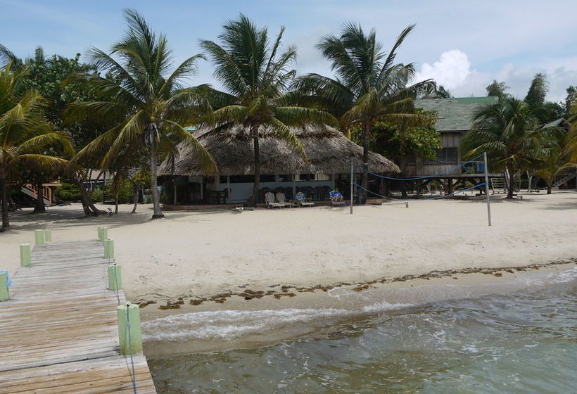 渡假胜地 Green Parrot Belize