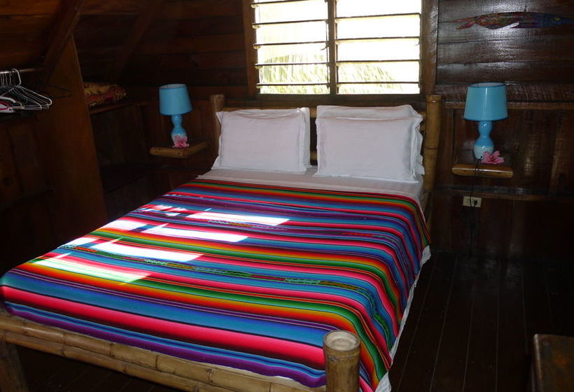 渡假胜地 Green Parrot Belize