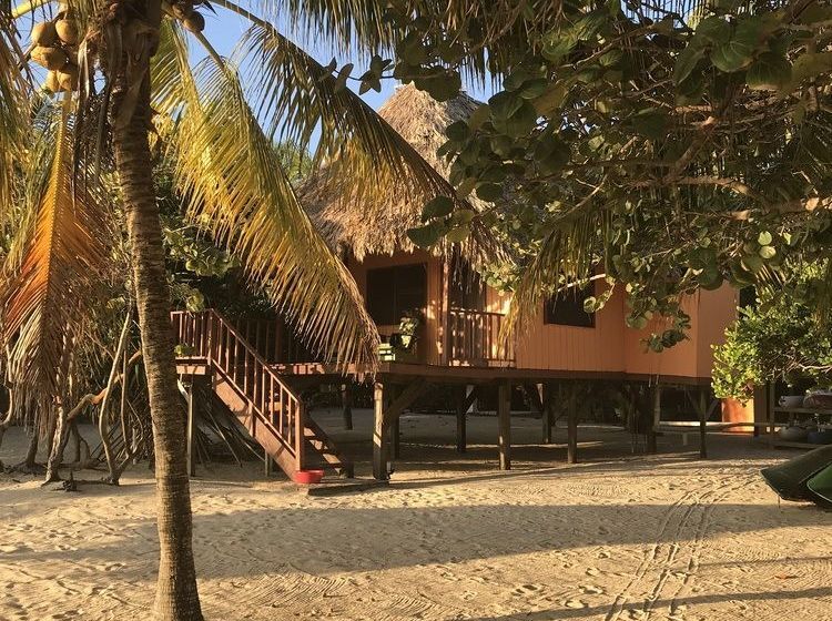 渡假胜地 Green Parrot Belize