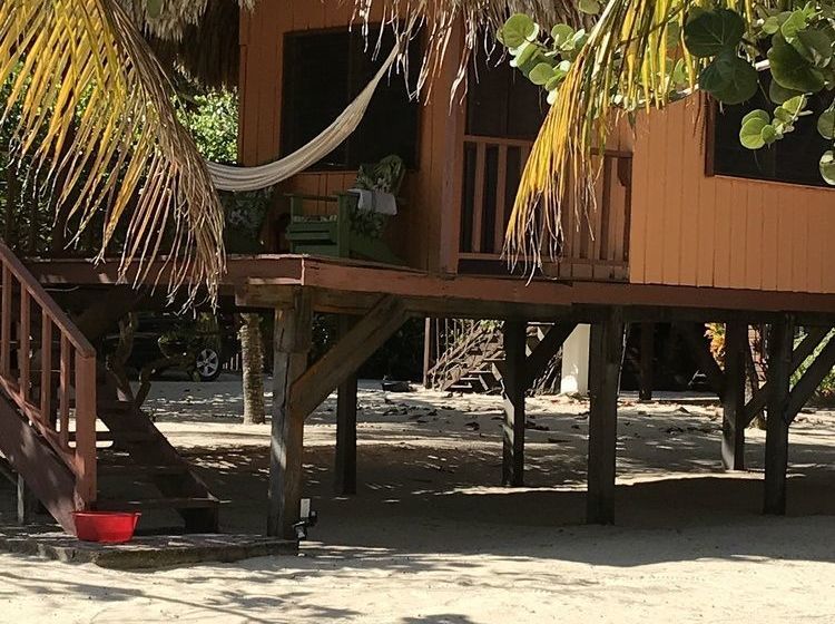 渡假胜地 Green Parrot Belize