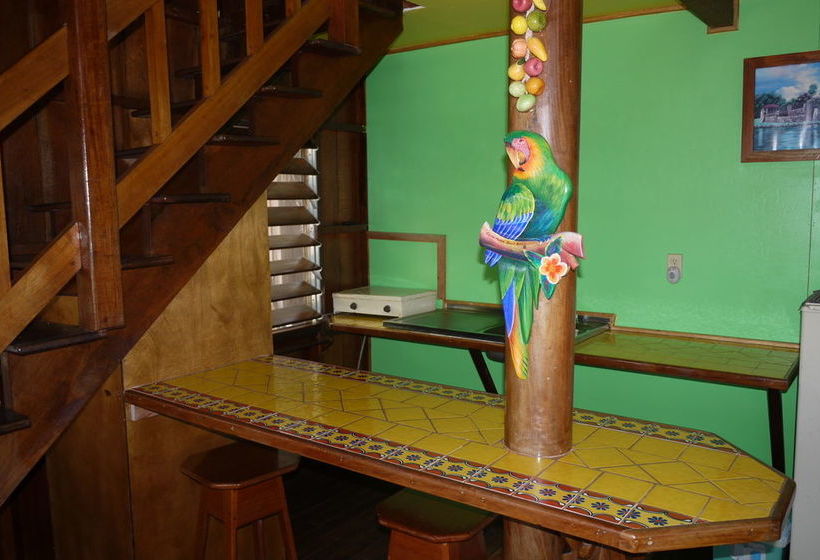 渡假胜地 Green Parrot Belize