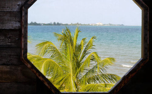 渡假胜地 Green Parrot Belize