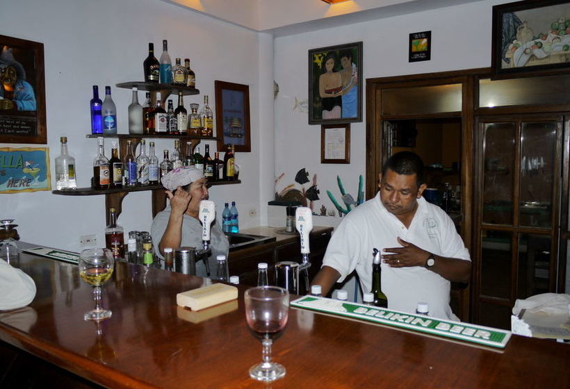 渡假胜地 Green Parrot Belize