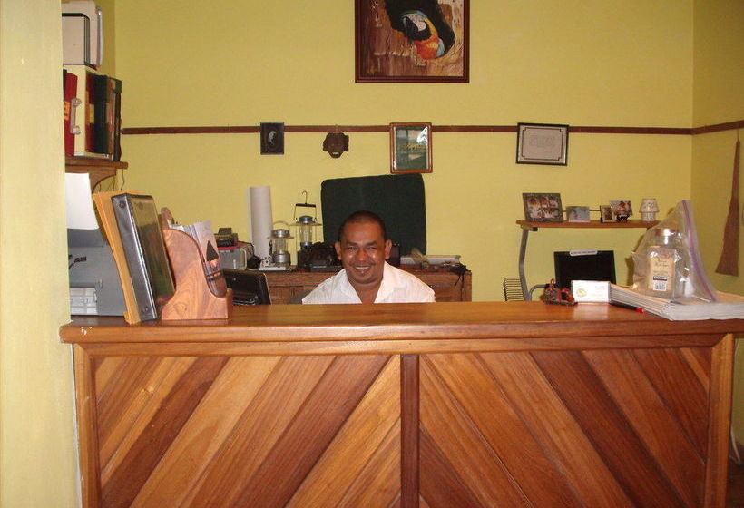 渡假胜地 Green Parrot Belize