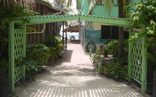 渡假胜地 Green Parrot Belize