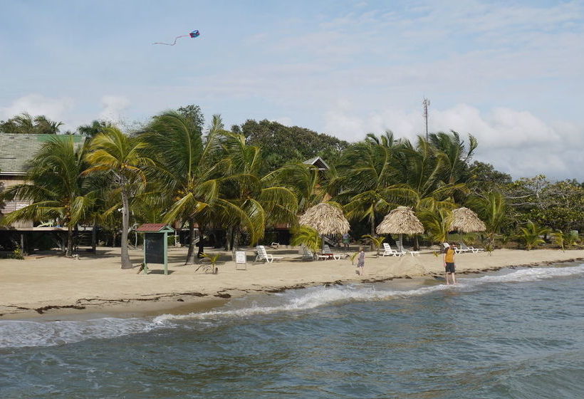 渡假胜地 Green Parrot Belize