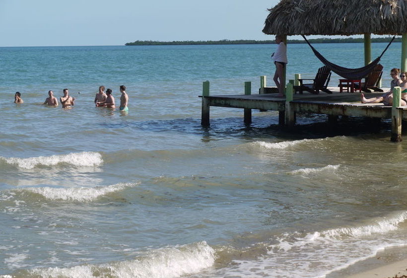 渡假胜地 Green Parrot Belize