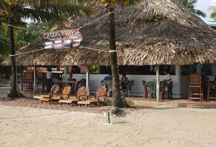 渡假胜地 Green Parrot Belize