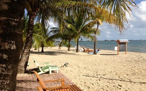 渡假胜地 Green Parrot Belize