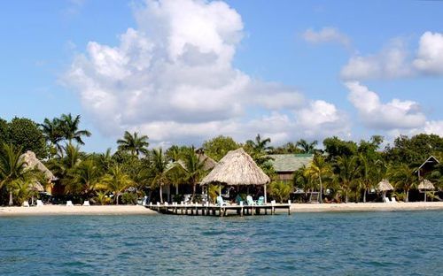 渡假胜地 Green Parrot Belize