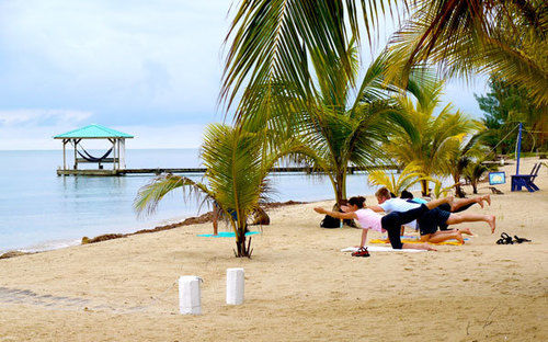 渡假胜地 Green Parrot Belize