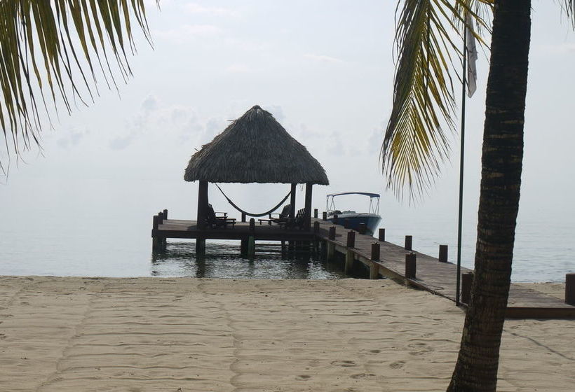 渡假胜地 Green Parrot Belize