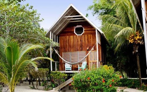 渡假胜地 Green Parrot Belize