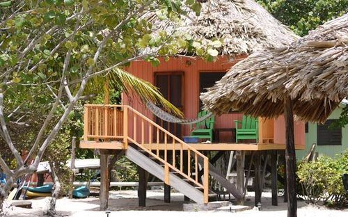 渡假胜地 Green Parrot Belize