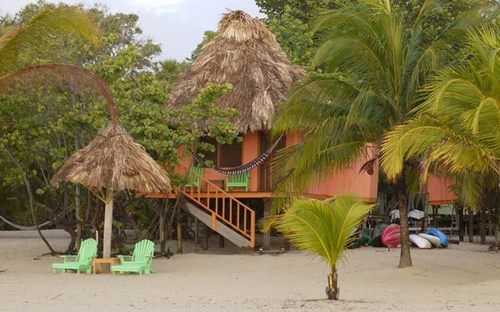 渡假胜地 Green Parrot Belize