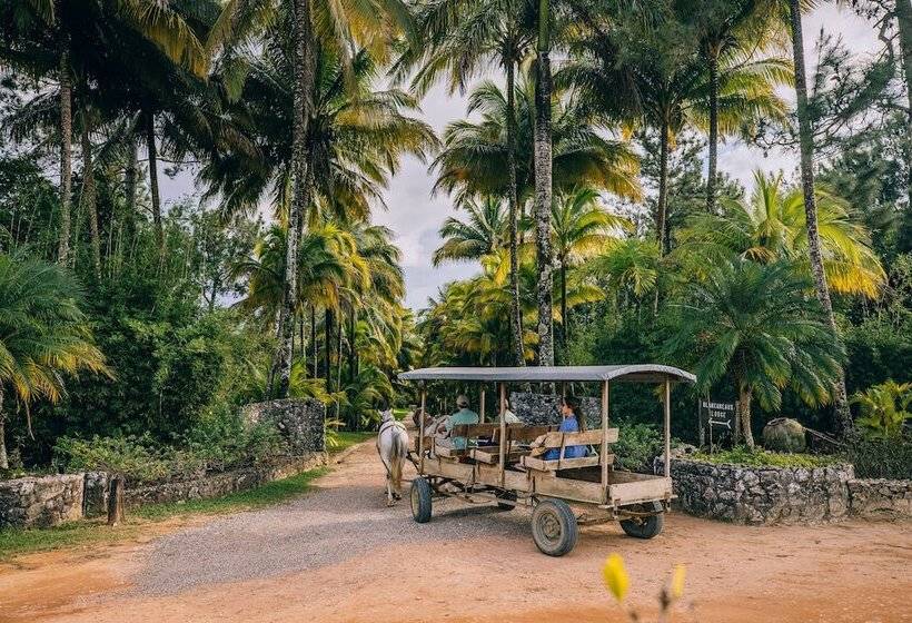 בית מלון כפרי Blancaneaux Lodge by Francis Ford Coppola