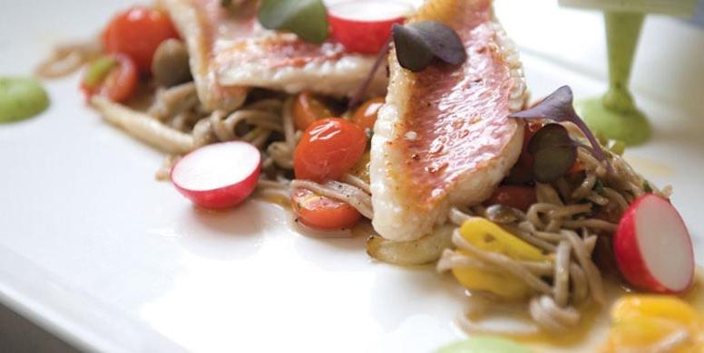 בית מלון כפרי Internos