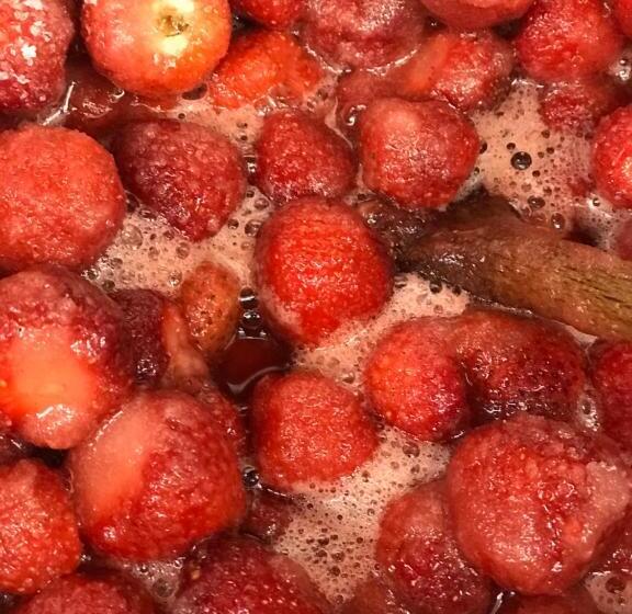 בית מלון כפרי Internos