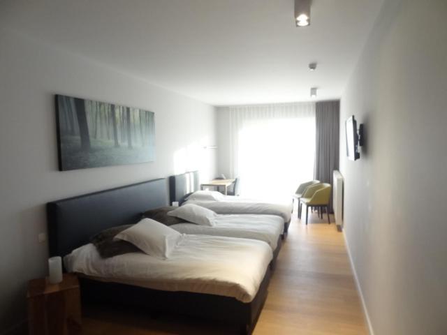 ホテル Kasteelhof 't Hooghe