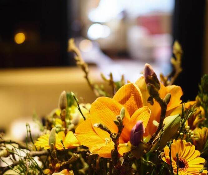 בית מלון כפרי Romantik Manoir Carpe Diem